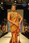 Celebs Walk the Ramp at IIJW 2011 Fashion Show Day 2 - 59 of 113