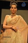 Celebs Walk the Ramp at IIJW 2011 Fashion Show Day 2 - 65 of 113