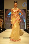 Celebs Walk the Ramp at IIJW 2011 Fashion Show Day 2 - 69 of 113