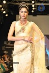 Celebs Walk the Ramp at IIJW 2011 Fashion Show Day 2 - 70 of 113