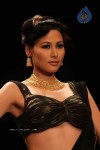 Celebs Walk the Ramp at IIJW 2011 Fashion Show Day 2 - 73 of 113