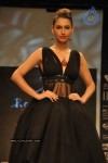 Celebs Walk the Ramp at IIJW 2011 Fashion Show Day 2 - 108 of 113