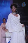 Celebs Walk the Ramp at IIJW 2011 Fashion Show Day 2 - 109 of 113