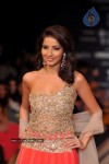 Celebs Walks the Ramp at IIJW 2012 - 37 of 297