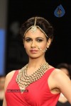 Celebs Walks the Ramp at IIJW 2012 - 45 of 297