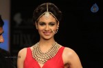 Celebs Walks the Ramp at IIJW 2012 - 53 of 297