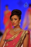Celebs Walks the Ramp at IIJW 2012 - 61 of 297