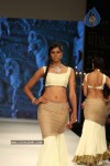Celebs Walks the Ramp at IIJW 2012 - 63 of 297
