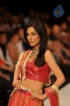 Celebs Walks the Ramp at IIJW 2012 - 69 of 297