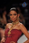 Celebs Walks the Ramp at IIJW 2012 - 75 of 297