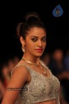 Celebs Walks the Ramp at IIJW 2012 - 82 of 297