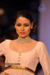 Celebs Walks the Ramp at IIJW 2012 - 104 of 297