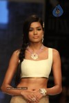 Celebs Walks the Ramp at IIJW 2012 - 148 of 297
