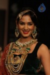 Celebs Walks the Ramp at IIJW 2012 - 155 of 297