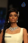 Celebs Walks the Ramp at IIJW 2012 - 182 of 297