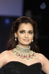 Celebs Walks the Ramp at IIJW 2012 - 192 of 297