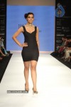 Celebs Walks the Ramp at IIJW 2012 - 223 of 297