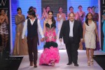 Celebs Walks the Ramp at IIJW 2014 Set 1 - 6 of 235