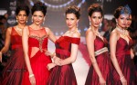 Celebs Walks the Ramp at IIJW 2014 Set 1 - 24 of 235