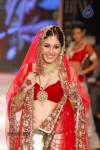 Celebs Walks the Ramp at IIJW 2014 Set 1 - 73 of 235