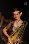 Celebs Walks the Ramp at IIJW 2014 Set 1 - 98 of 235