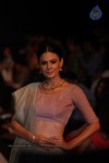 Celebs Walks the Ramp at IIJW 2014 Set 1 - 109 of 235