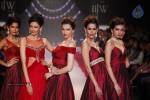 Celebs Walks the Ramp at IIJW 2014 Set 1 - 110 of 235