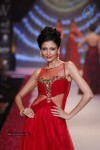 Celebs Walks the Ramp at IIJW 2014 Set 1 - 131 of 235