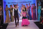 Celebs Walks the Ramp at IIJW 2014 Set 1 - 132 of 235