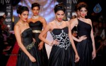 Celebs Walks the Ramp at IIJW 2014 Set 1 - 139 of 235