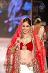 Celebs Walks the Ramp at IIJW 2014 Set 1 - 143 of 235