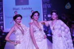 Celebs Walks the Ramp at IIJW 2014 Set 1 - 146 of 235