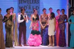 Celebs Walks the Ramp at IIJW 2014 Set 1 - 160 of 235