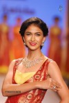 Celebs Walks the Ramp at IIJW 2014 Set 1 - 183 of 235