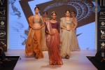Celebs Walks the Ramp at IIJW 2014 Set 1 - 189 of 235