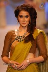 Celebs Walks the Ramp at IIJW 2014 Set 2 - 80 of 235