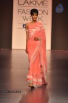Celebs Walks the Ramp at LFW Summer Resort 2013 - 91 of 186