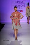 Celebs Walks the Ramp at LFW Summer Resort 2013 - 97 of 186