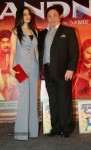 Chaar Din Ki Chandni  Movie Audio Launch  - 23 of 93
