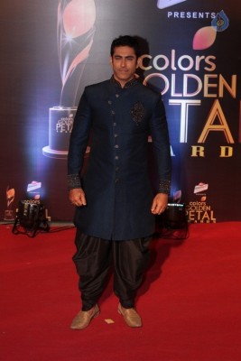 Colors Golden Petal Awards 2017 Red Carpet - 38 of 60