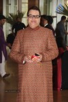 Deepshikha and Dheeraj Deshmukh Wedding Ceremony - 16 of 59