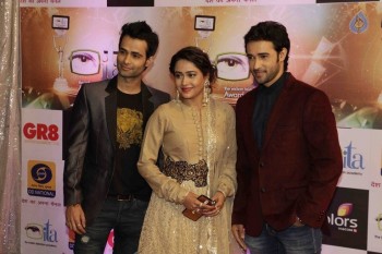 GR8 Indian Television Awards 2015 - 4 of 28