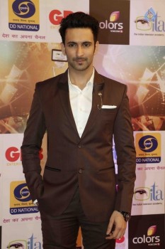 GR8 Indian Television Awards 2015 - 24 of 28