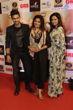 GR8 Indian Television Awards 2015 - 25 of 28
