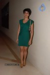 Gul Panag at Campari Calendar Launch - 31 of 55