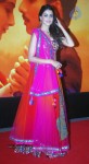 Hot Bolly Celebs at Mausam Premiere - 32 of 112