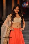 Hot Bolly Celebs at Mijwan Welfare Society Fashion Show - 124 of 131
