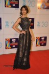 Hot Bolly Celebs at ZEE CINE AWARDS 2013 - 17 of 88