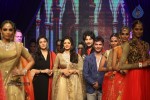 Bolly Celebs Walks the Ramp at IIJW 2014 - 12 of 152