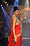 Bolly Celebs Walks the Ramp at IIJW 2014 - 87 of 152